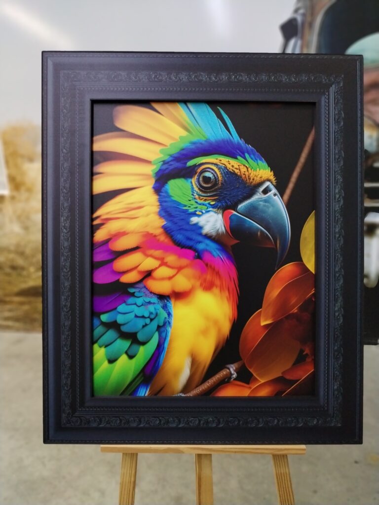 Perroquet coloré
